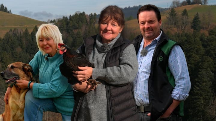 Teaser Webseite (1).jpg