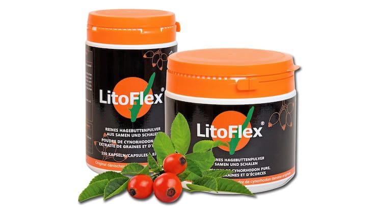 Teaser Webseite (7).png