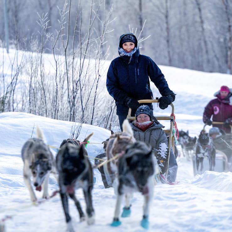 Princess Ingrid Alexandra during a dog sledding tour along a route .    ADEL  ROYALS MONACHY KONIGLICH ROYAUX ROYALTY QUEEN PRINCESS KING PRINCE