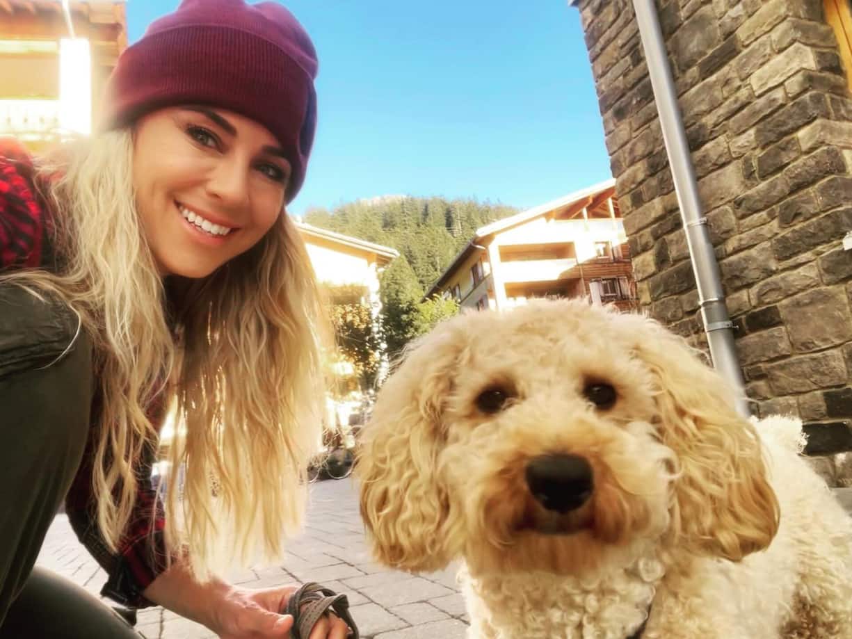 Grosser Traum: Moderatorin Nicole Berchtold wollte immer einen Hund. Seit geraumer Zeit ist Cavapoo-Hündin Gipsy an ihrer Seite.