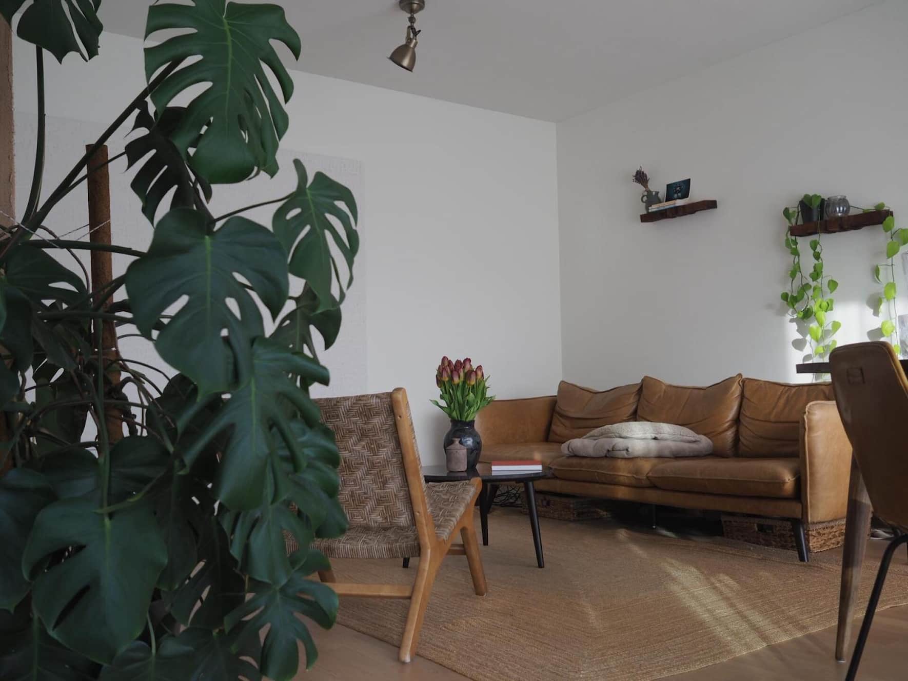 WhatsApp Image 2026-03-06 at 17.09.18.jpeg