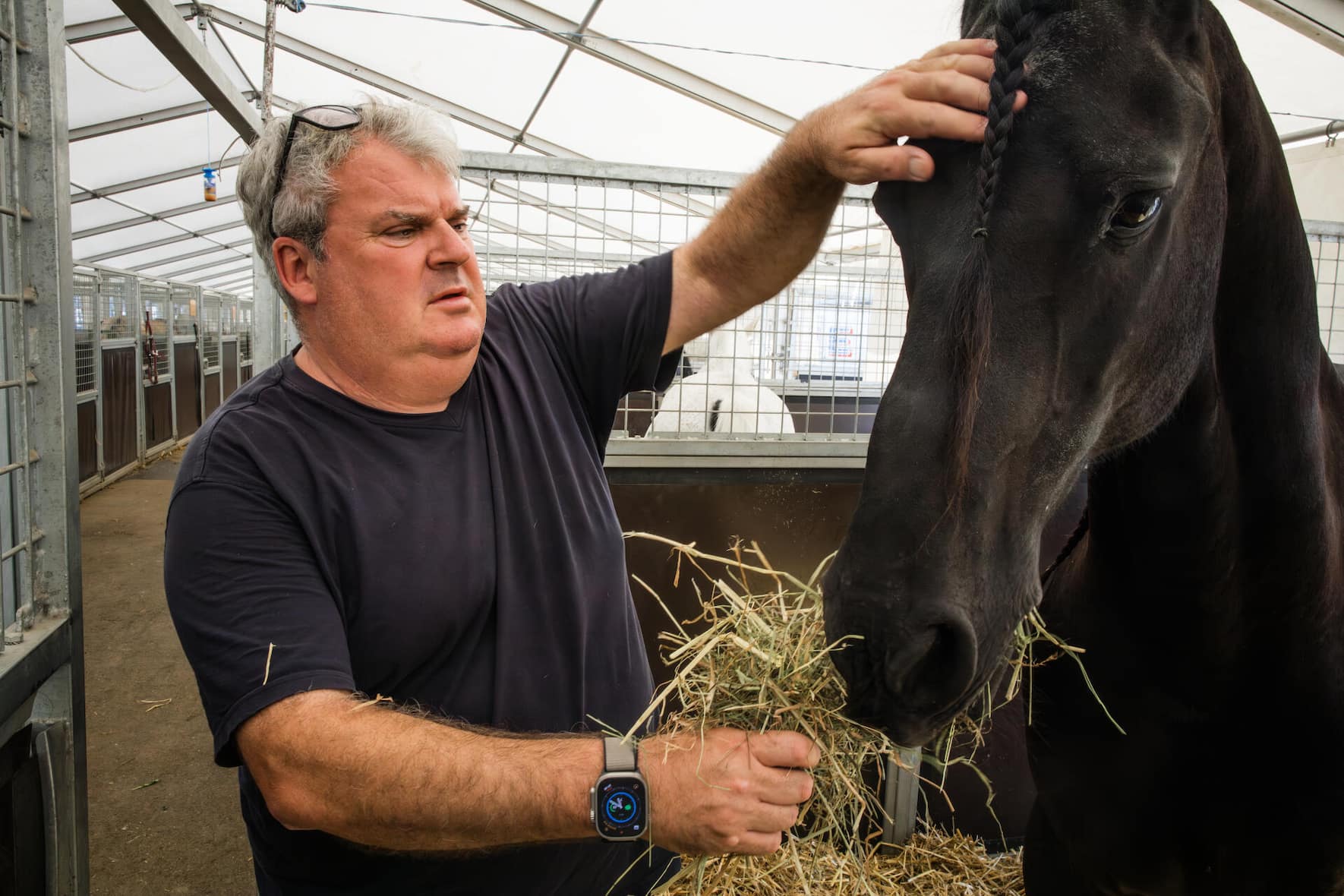 An den ­Pferden hat er grosse Freude. «Man merkt, wie gut sich Fredy Knie noch immer um die ­Tiere kümmert.»