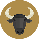 Stier