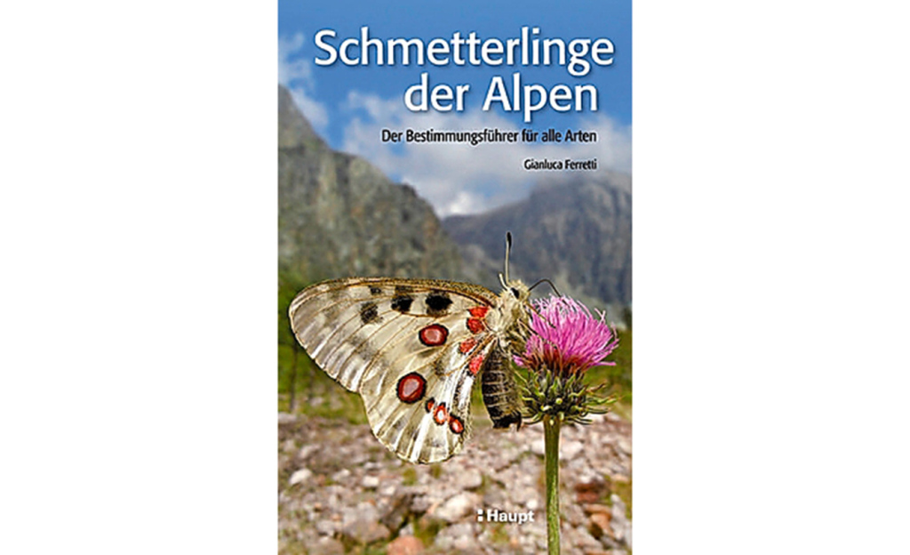 Im Buch «Schmetterlinge der Alpen» von Gianluca Ferretti (Haupt Verlag, Fr. 38.90) werden alle Schmetterlingsarten, die im Alpenbogen vorkommen, porträtiert.