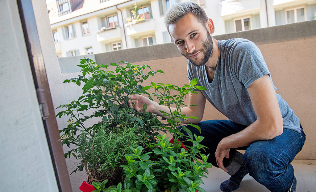 Stolz ist Tim auf sein Kräutergärtlein mit Kirschtomaten, Rosmarin und Minze.