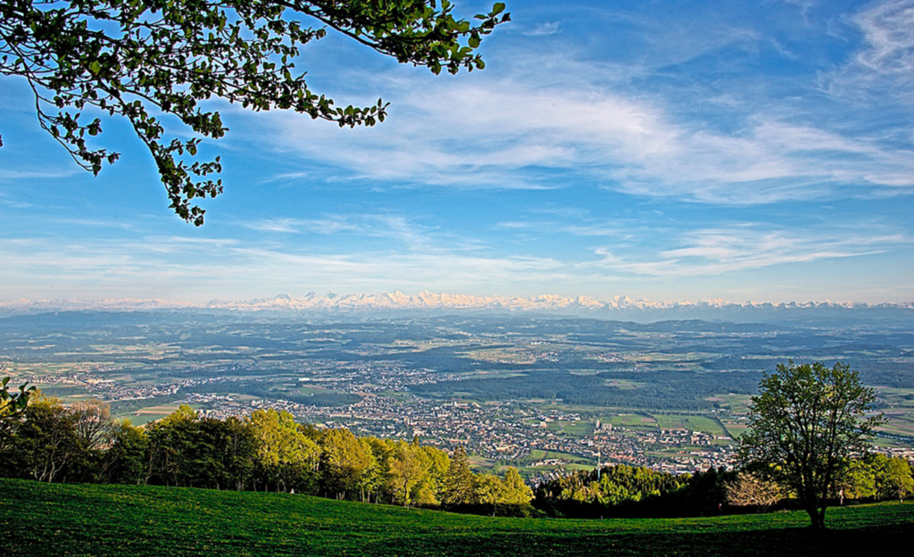 Herrlicher Panoramablick über das Mittelland bis weit in die Alpen. 