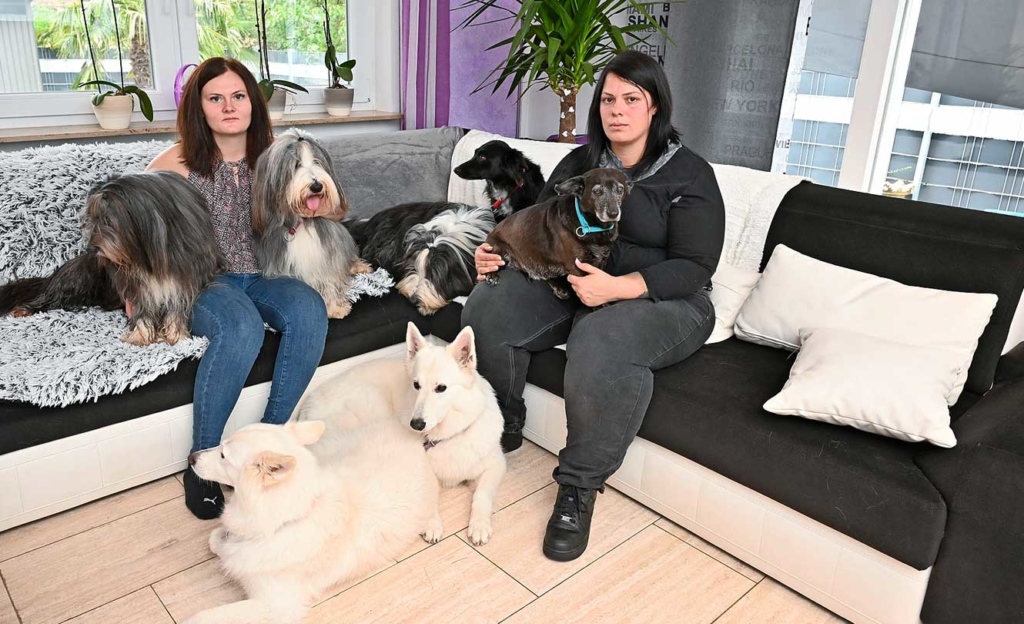 «Wir müssen jedes Jahr einen Hund abgeben!» GlücksPost